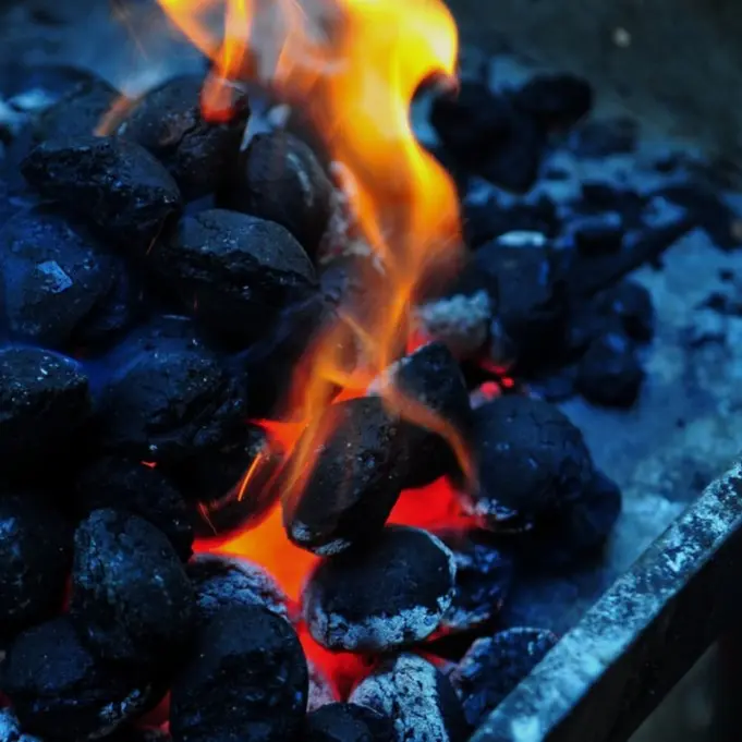 bbq and cooking fuel